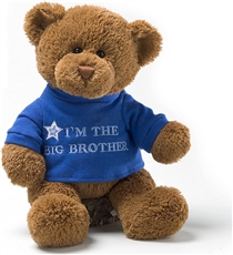 Gund Big Brother/ Big Sister Bears